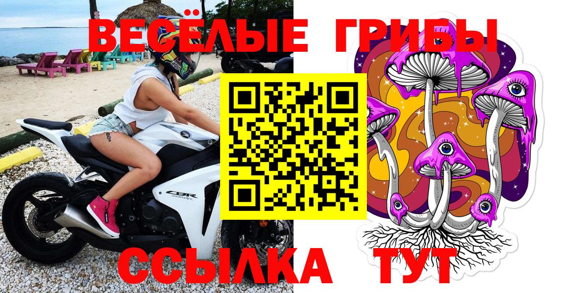 Галлюциногенные грибы GOLDEN TEACHER Унеча