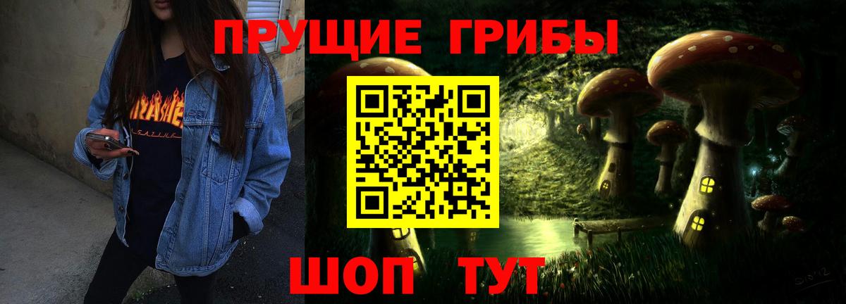 Псилоцибиновые грибы Cubensis  продажа наркотиков  Вход с VPN  Унеча  Псилоцибиновые грибы MAGIC MUSHROOMS 